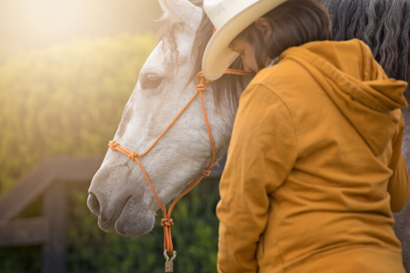Equestrian-226