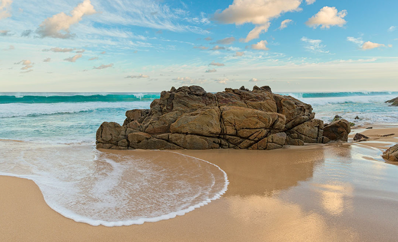 A bride and a groom eloping in the botanical gardens