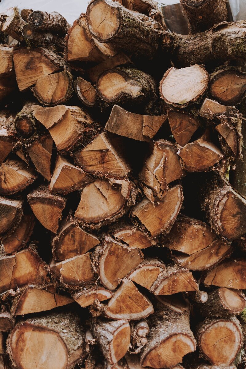 stack of wood and logs