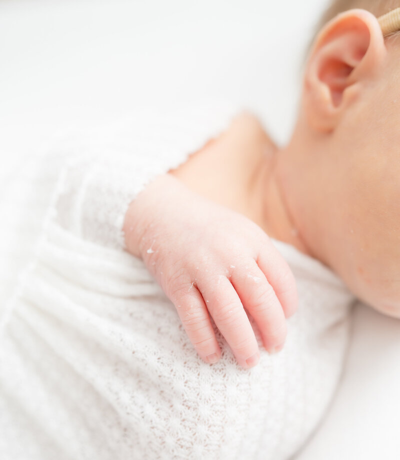 Raleigh newborn photographer