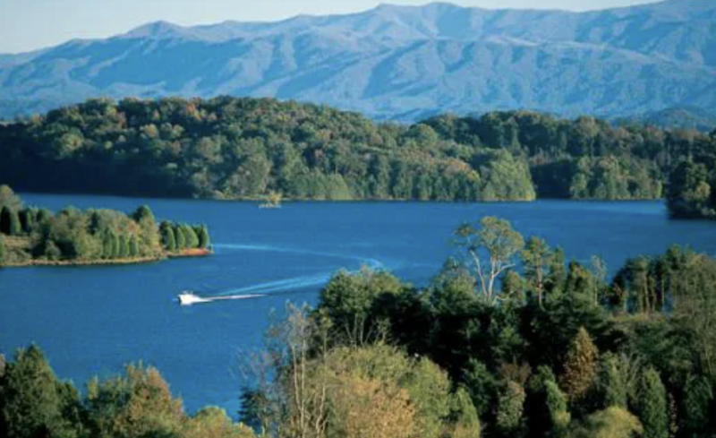 Screenshot 2025-06-13 at 1.41.59 PM