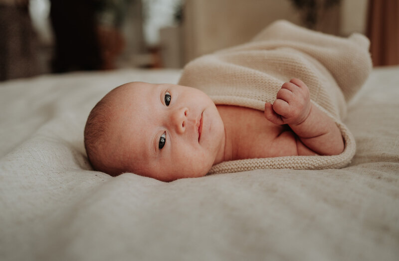 Newbornshoot