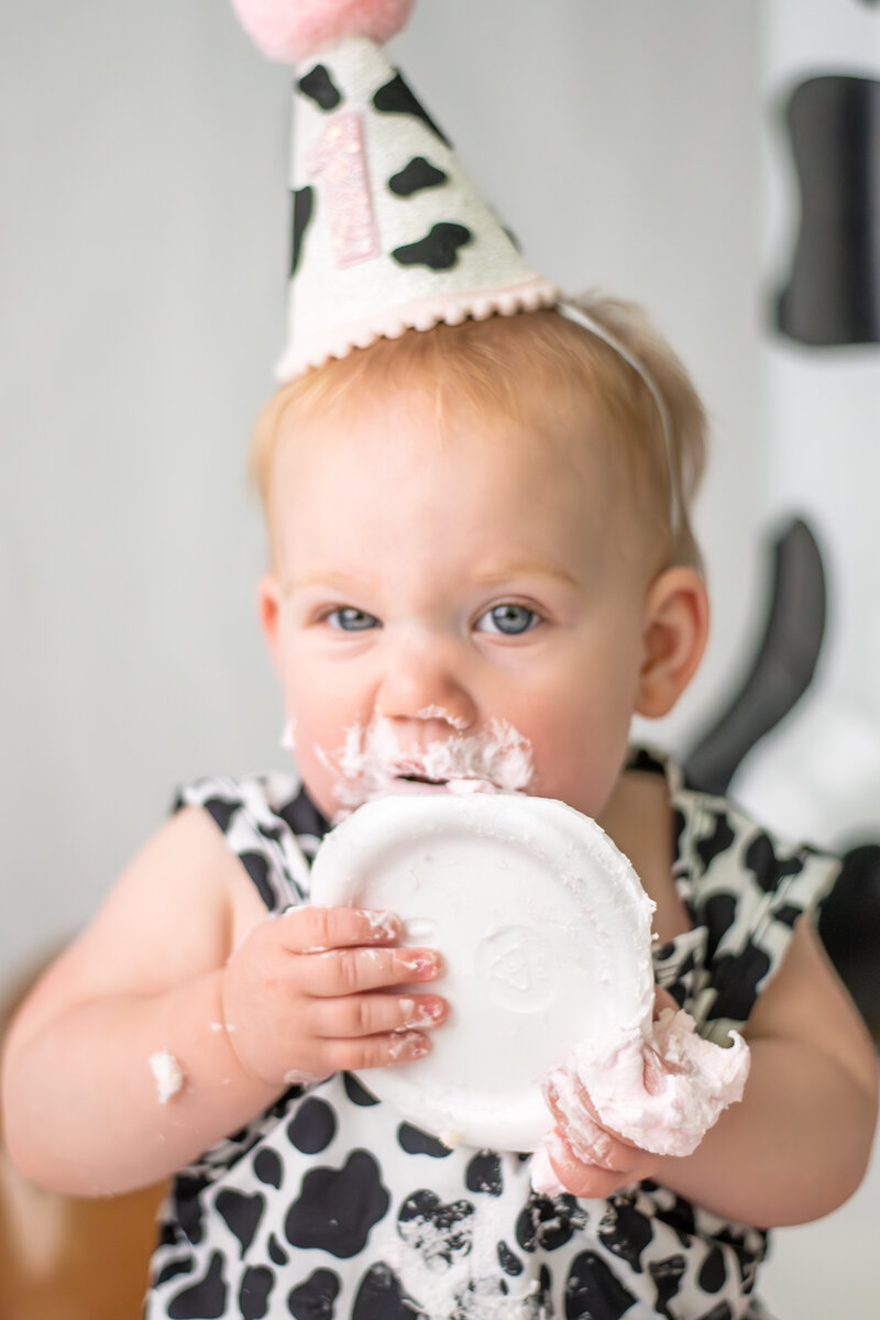 one year cake smash akron ohio