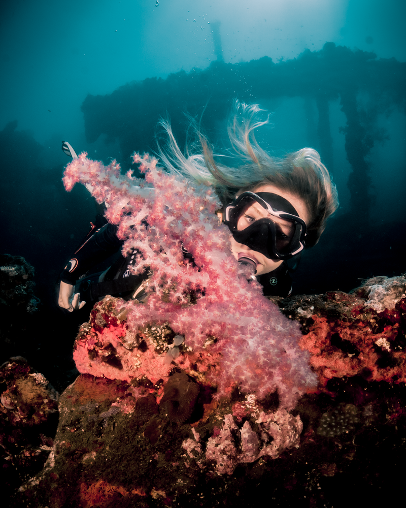Blonde girl scuba diving with black mask infront of shipwreck with pink blossoming coral infront of face