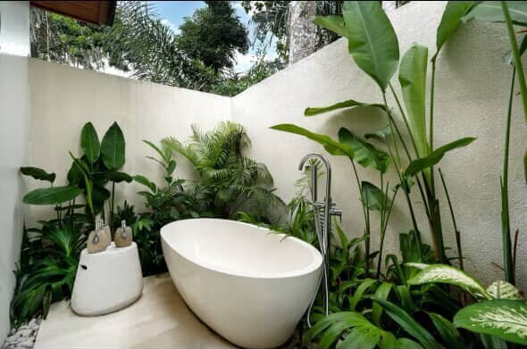 552180896_4169849909960924_5319979878234240279_n