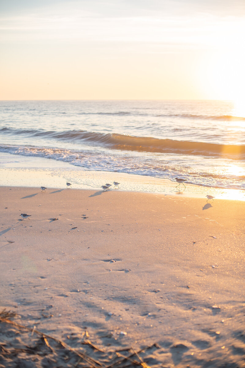 OasisRetreat_Charleston_SC-204