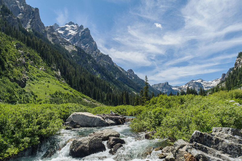 Wyoming landscape with river, mountains, and pine trees