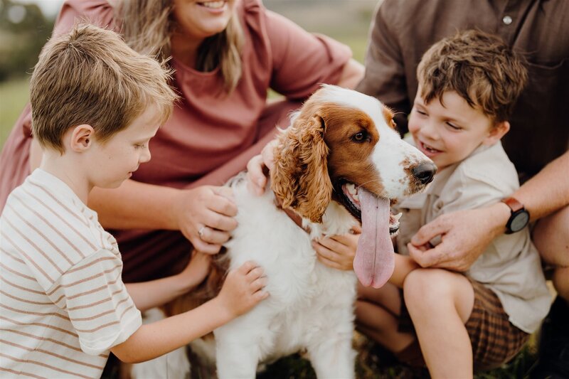 Holly and Jesses little boys cuddling their dog harvey during their family photoshoot in the waikato with photographer haley adele