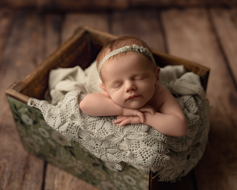 Styled with vintage green florals and heirloom lace, this newborn portrait blends elegance and rustic charm in our Paris studio.