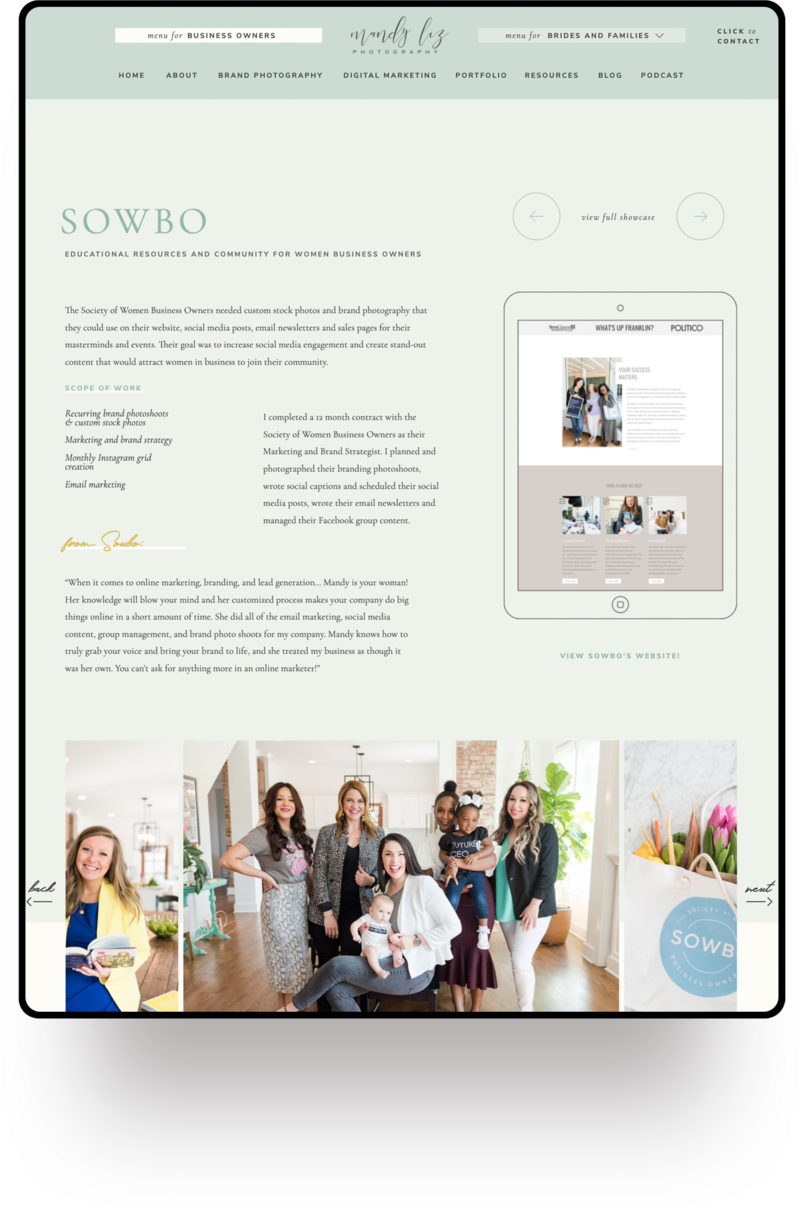 Two Day Showit EMShop Template Customization Intensive for Mandy Liz Photography