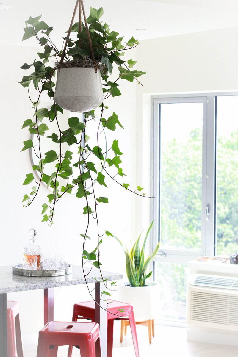 floral-plant-interior-design-architecture-art-greenwich-10