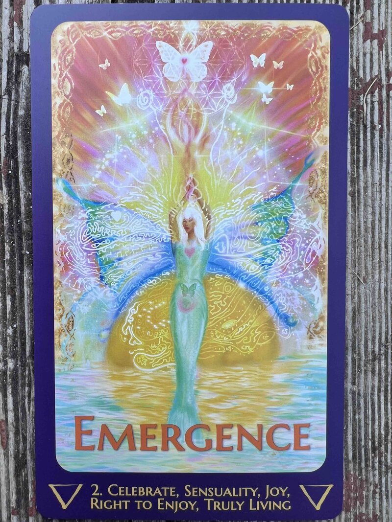 Emergence