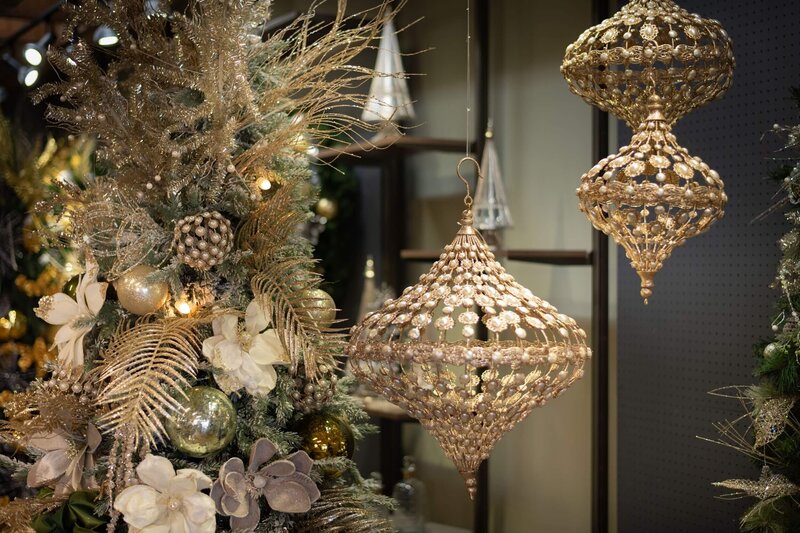 Belle-Noel-Splash-Image