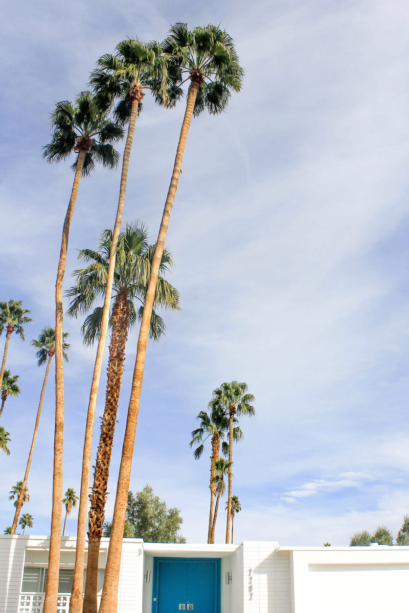 palm-springs-turquoise-door-palm-trees