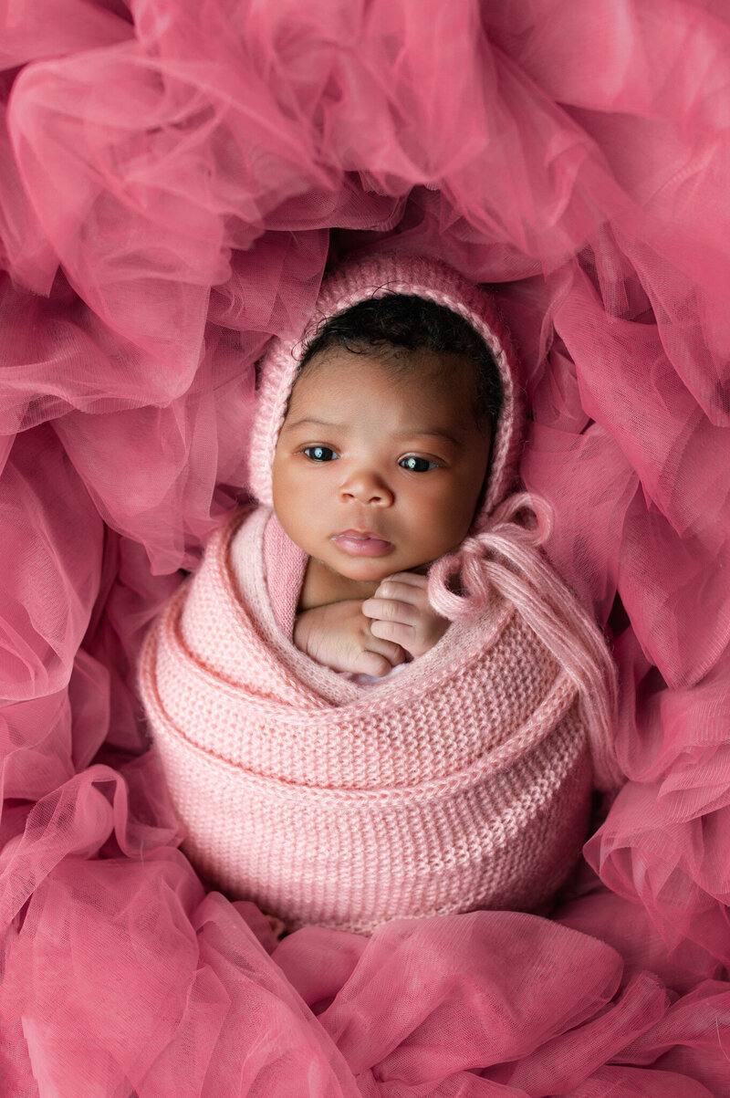 Newborn photography — baby girl in pink swaddle and bonnet, eyes open and surrounded by pink tulle