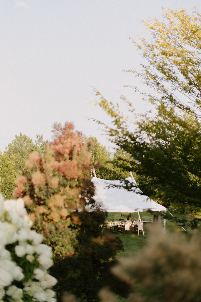 hannah-barr-and-wills-klein15