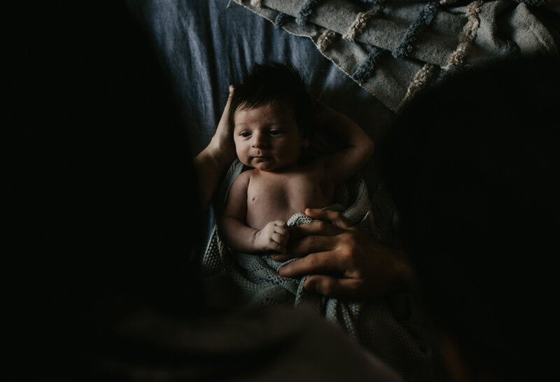 rex newborn44