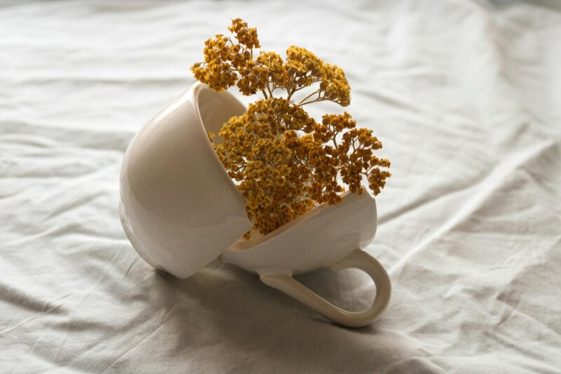 a broken cup with flowers illustrating the blog, "Therapy for Perfectionism" 