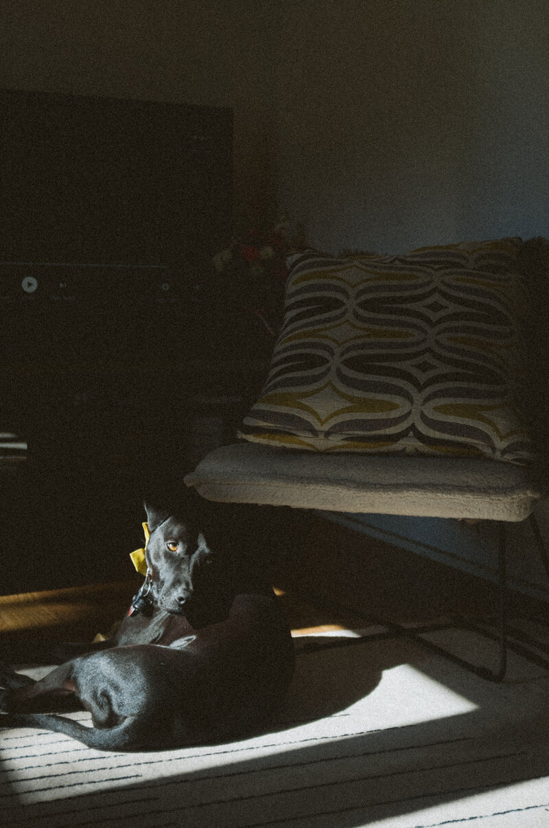Springtimeinhomenewbornphotos-IsaPhoto+Film67