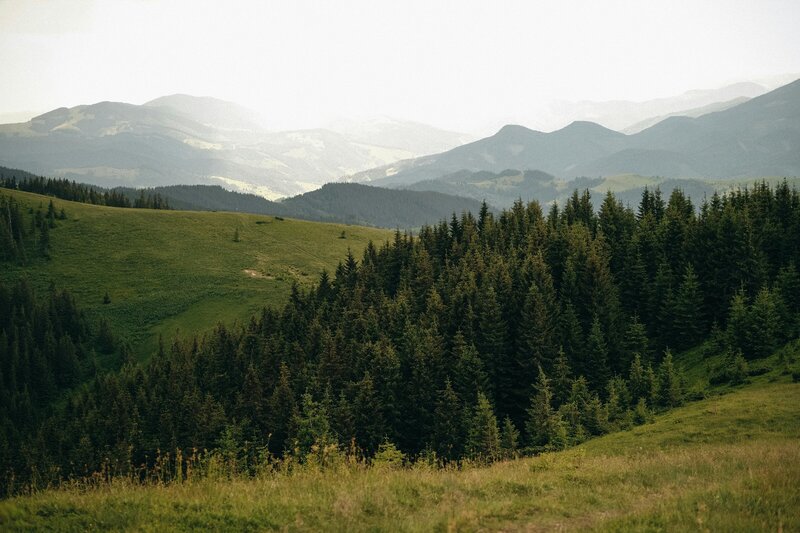A view of the mountains in Washington during sunrise