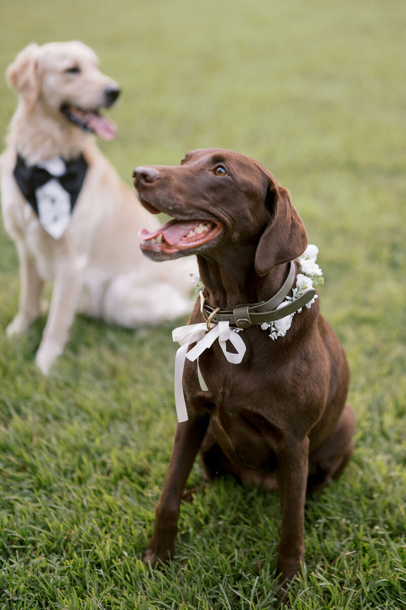 Roni+KyleWedding-923