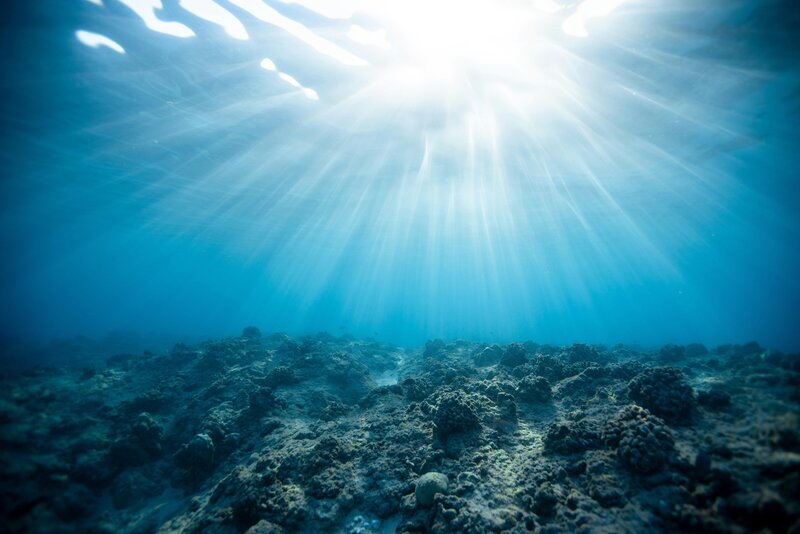 A serene view of sunlight streaming through water, symbolizing the gentle and eco-friendly aquamation process offered by Nature's Way Pet Aquamation in Lansing, Michigan.