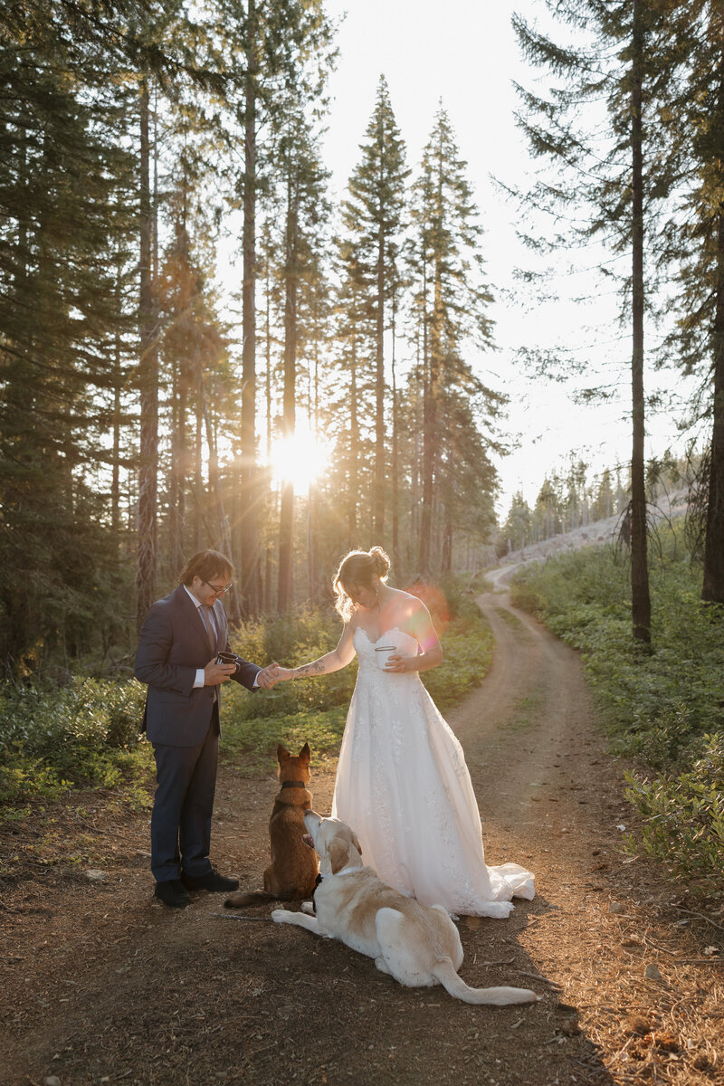 Mt. Baker Elopement