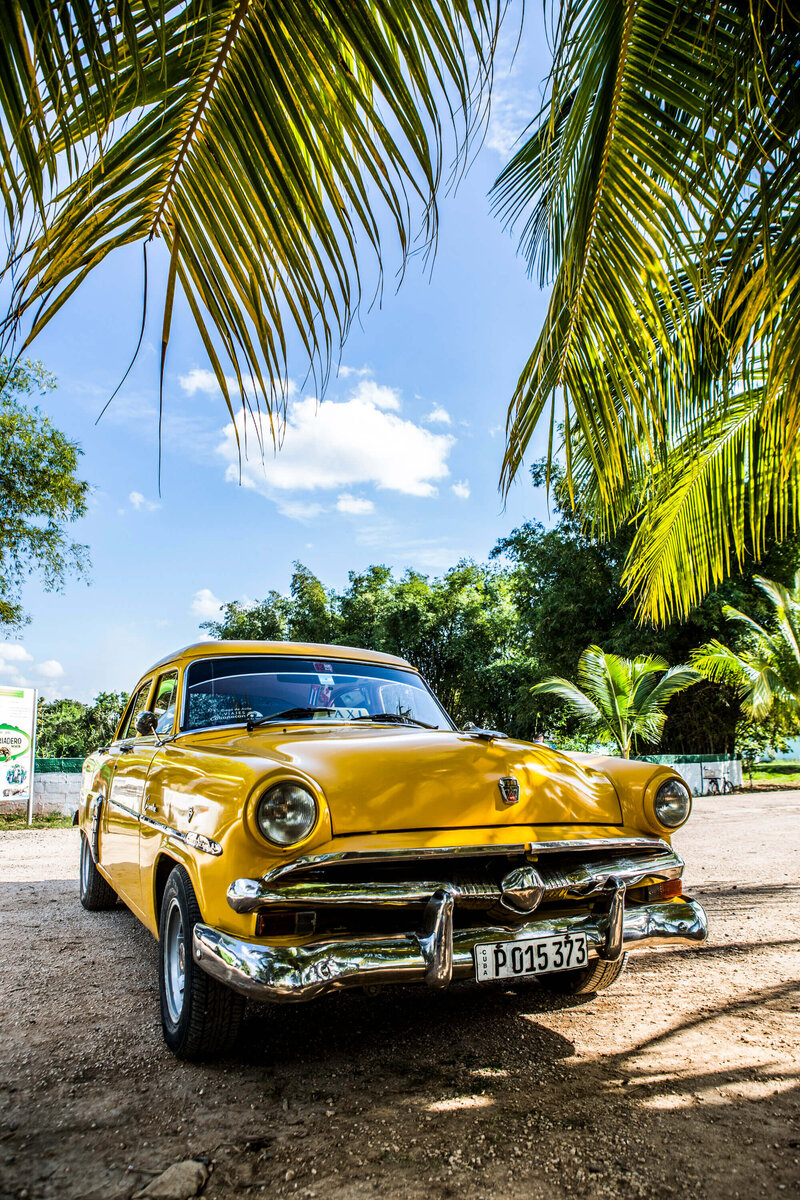 taxi under palm tree Cuba