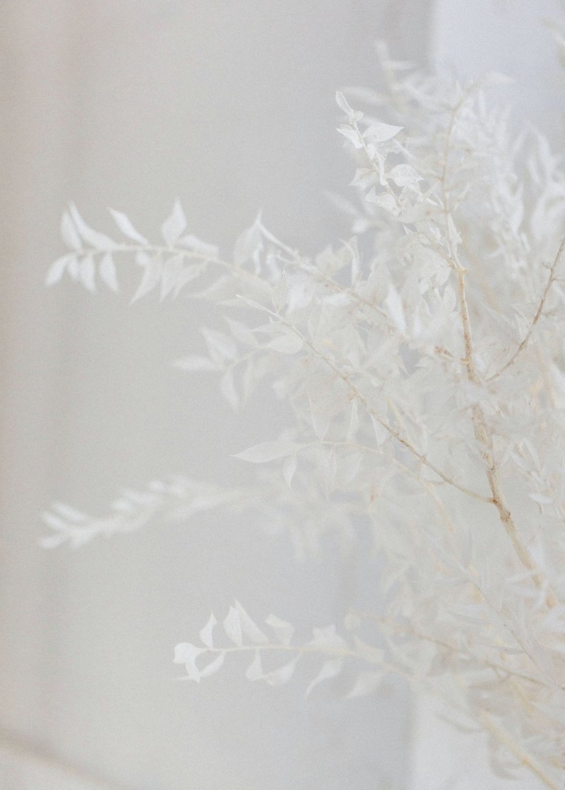 Tri-Main-Center-Buffalo-NY-wedding-planner-event-design-Wild-Blossom-Hollow-Shaw-Photography-16