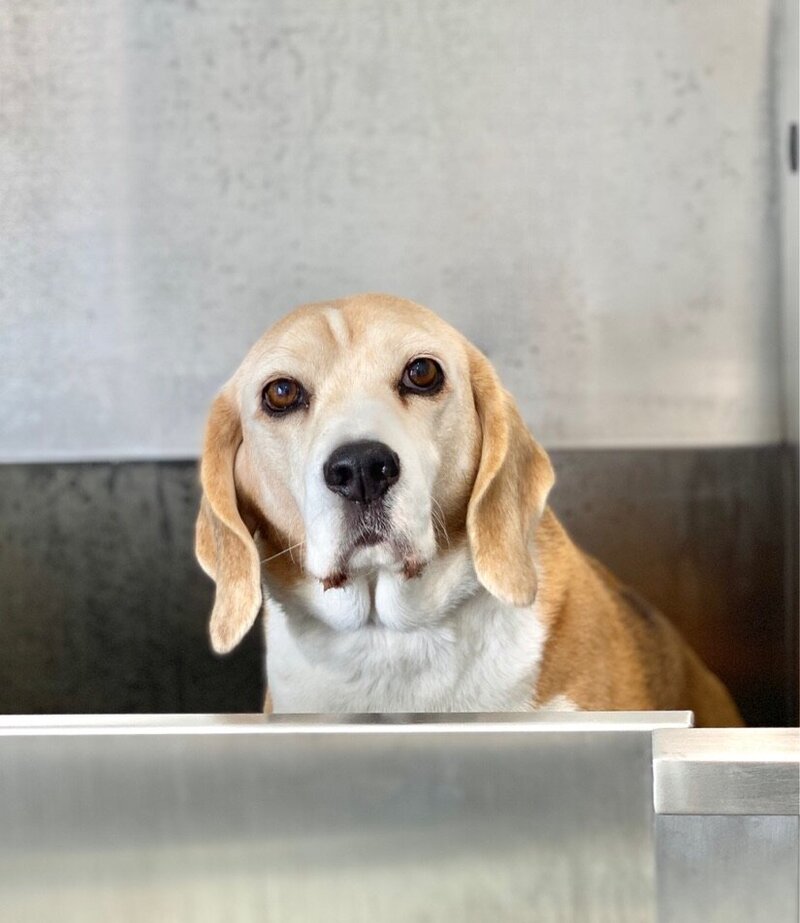 1480452E-52CC-4C6C-821D-F0D9F0ADD145_1_105_c