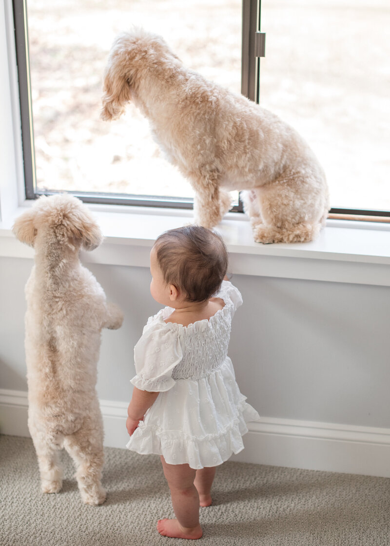 Family-In-Home-Erin-Belles-Photography-2025-4