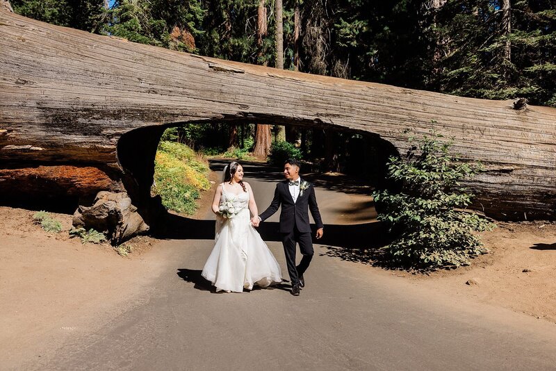 An eloping bride and groom walk under tunnel log in Sequoia National Park.