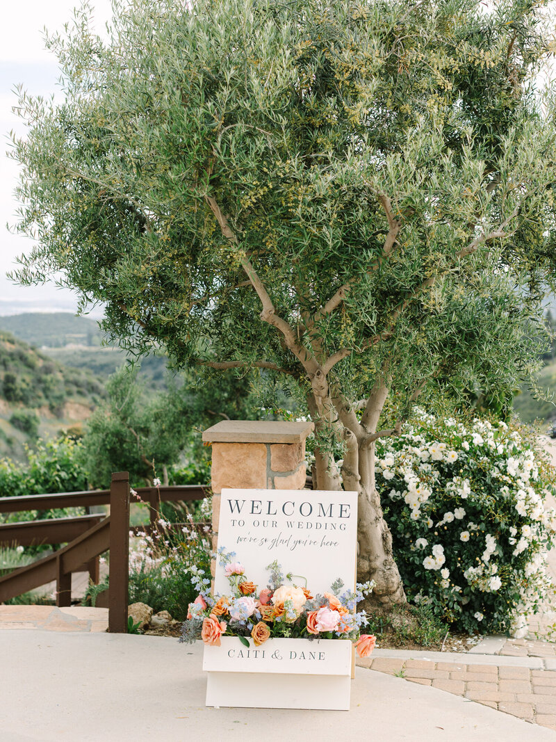 CaitiDaneWedding_0560
