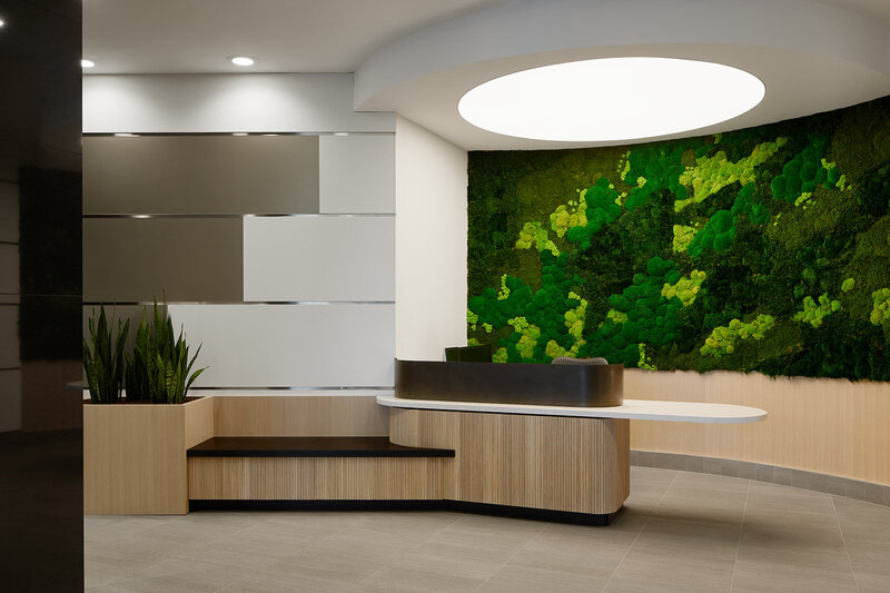 A large planter encircled by fluted wood panels in front of a large biophilic wall with a circular light fixture above