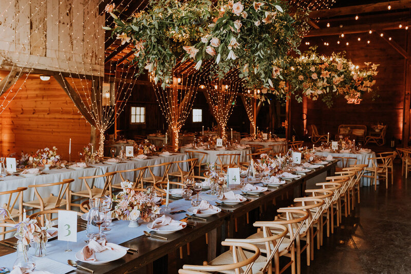 Petaluma Wedding Venue - Olympias Valley - AndrewIsa57