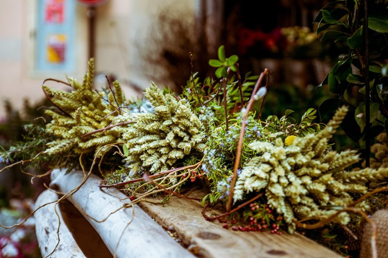 julien-lanoy-605695-unsplash