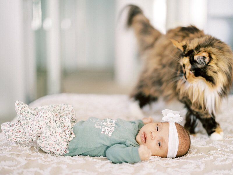 Grand-Rapids-Michigan-newborn-photographer_17