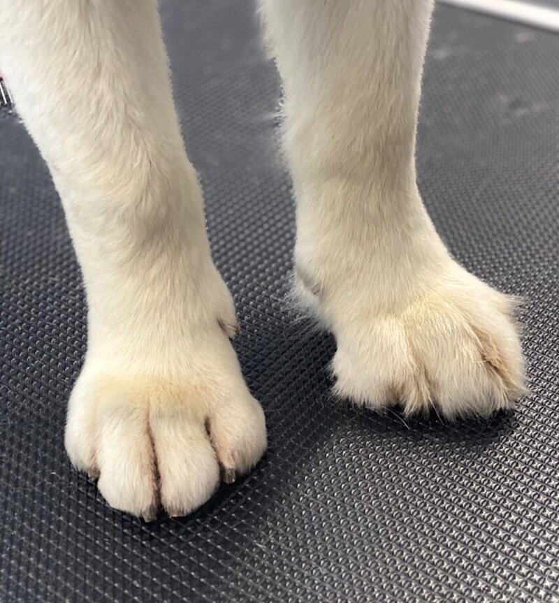 3D55CC70-A66B-4372-AE6B-00474B0C0210_1_105_c