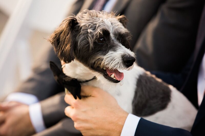 Andrew and Michael's wedding at the Frederick Loewe Estate photographed by Palm Springs photographer Ashley LaPrade.