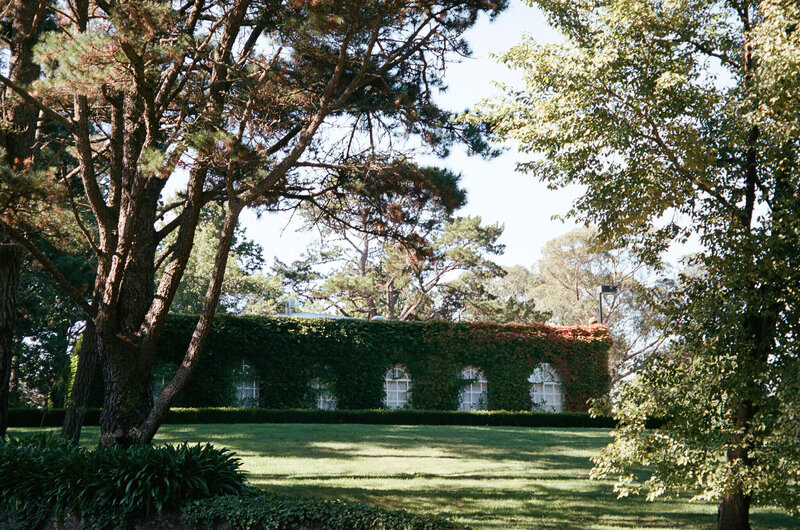 A&M-Film-Novare-20