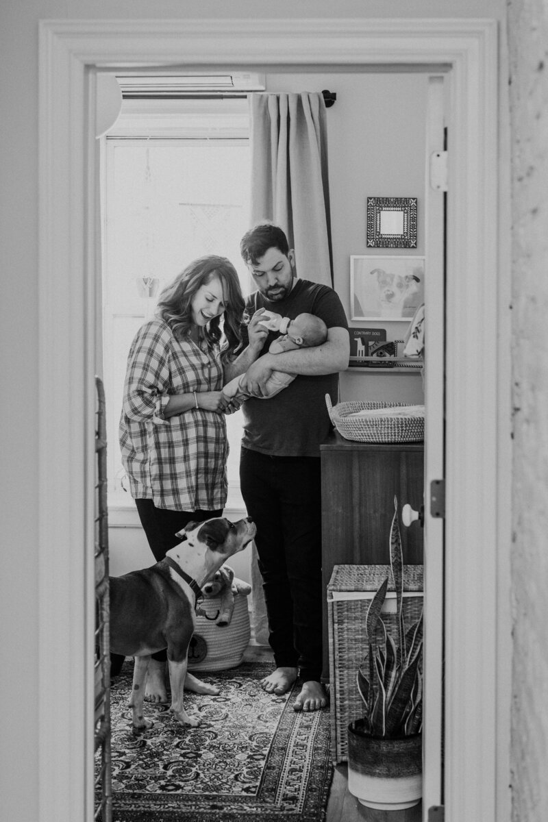 Westport_Family_Photography_Newborn_004