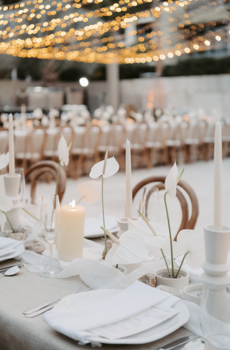 Screenshot 2025-08-17 at 5.28.25 PM