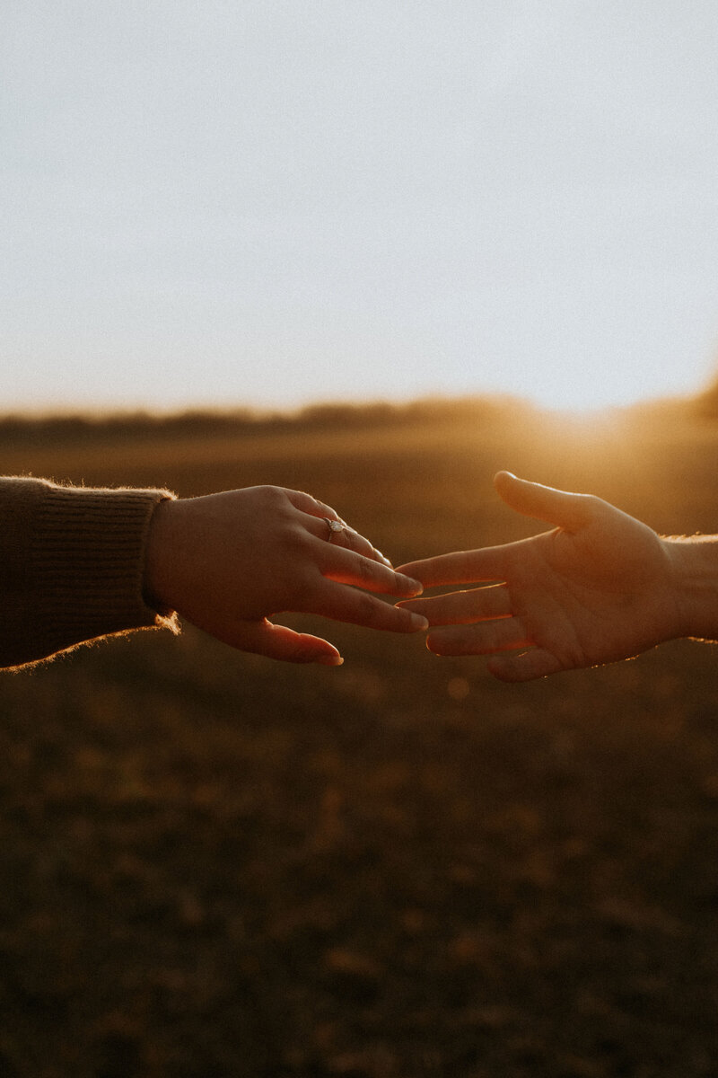 couple holding hands during sunset