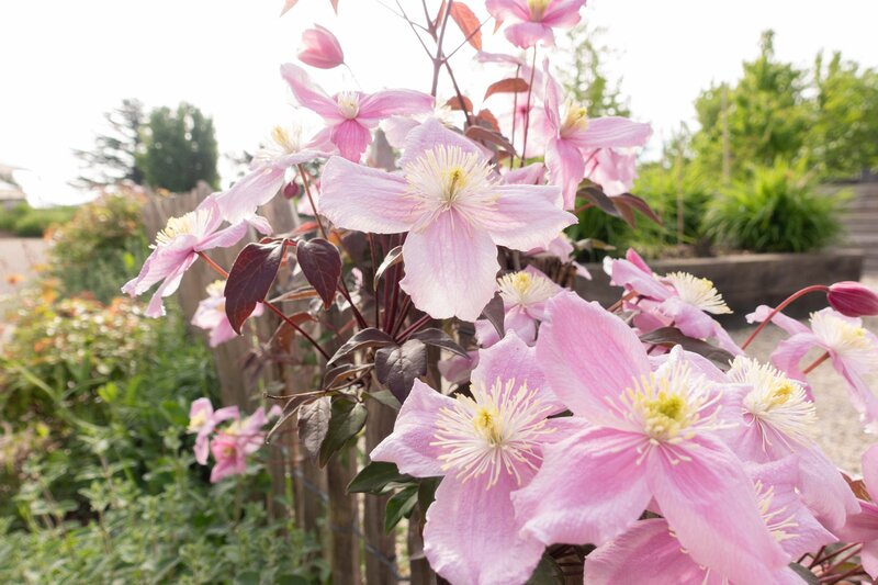 Horus paysages_Stanislas JUNG-9