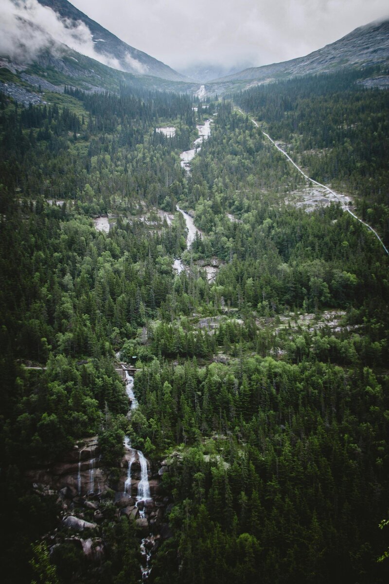 Arial view photo of a forest, stream, and waterfall for this Alberta based PR firm
