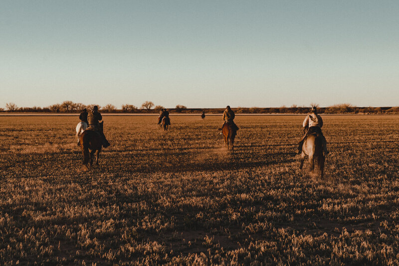 Four Cowboys Riding Off Into The Sunset, From The Lore Of The Range Collection