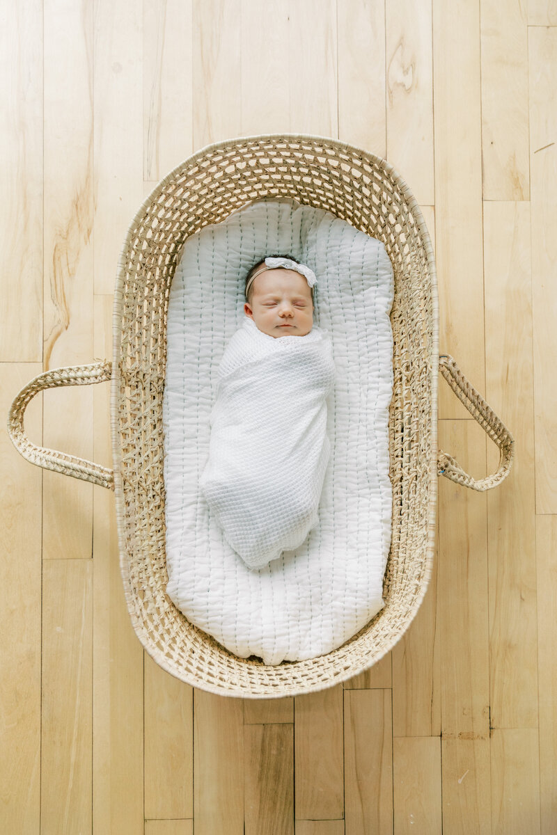 Baby Collins 2024-93