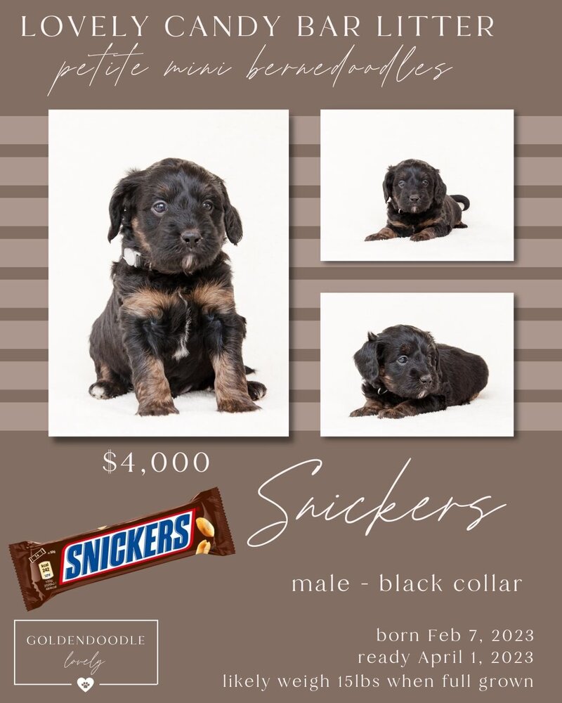 CandyBar-Snickers Black