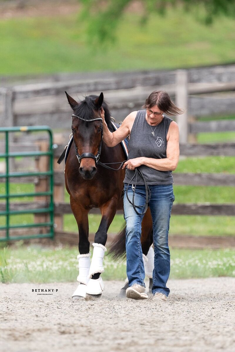 JP Dressage, horse facility in Lancaster, PA