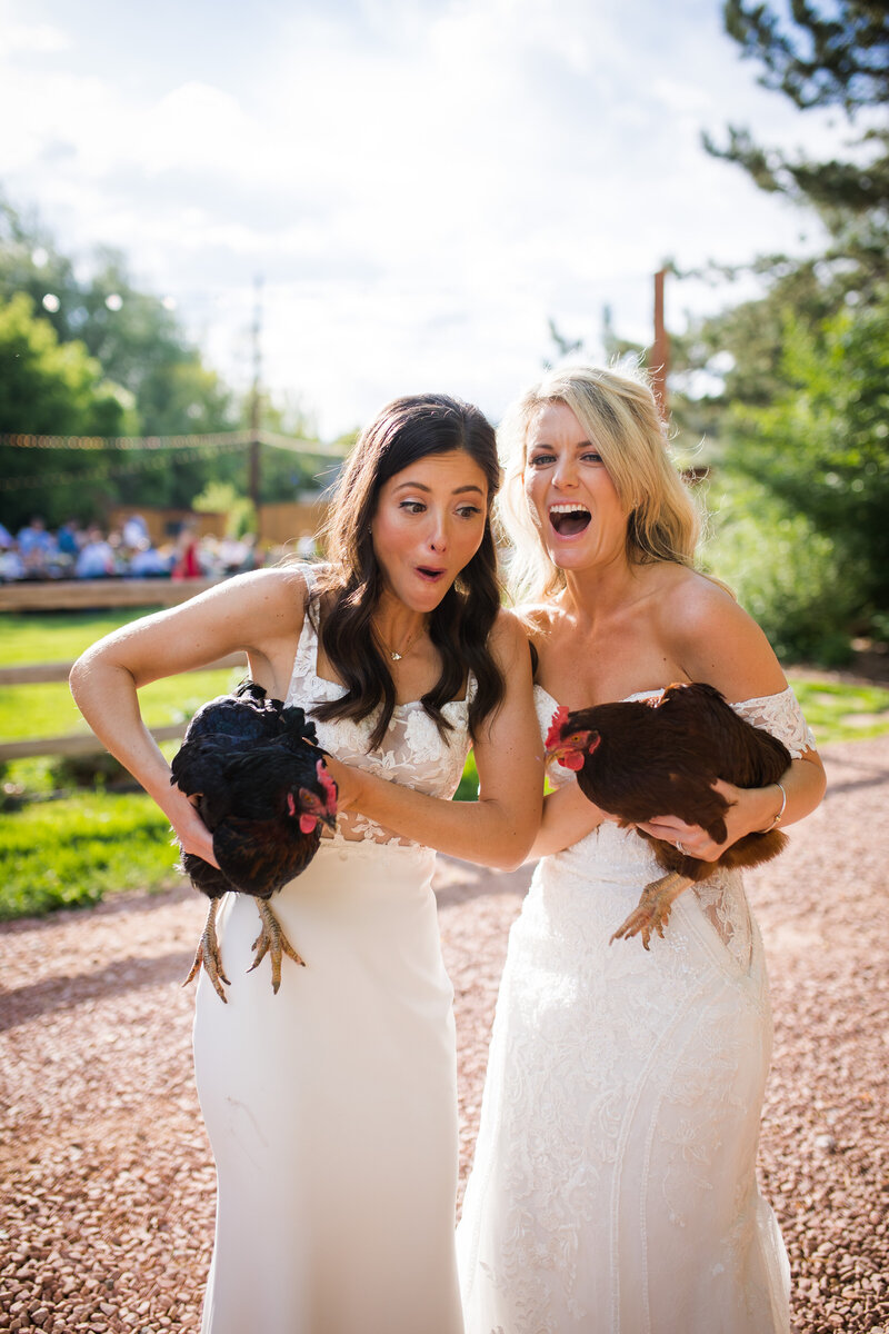Two brides with fun, laughing faces hold two chickens at their wedding at Lyons Farmette in Lyons, CO.